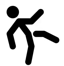 Slip and Fall